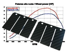 Membrane Carbon für Aprilia